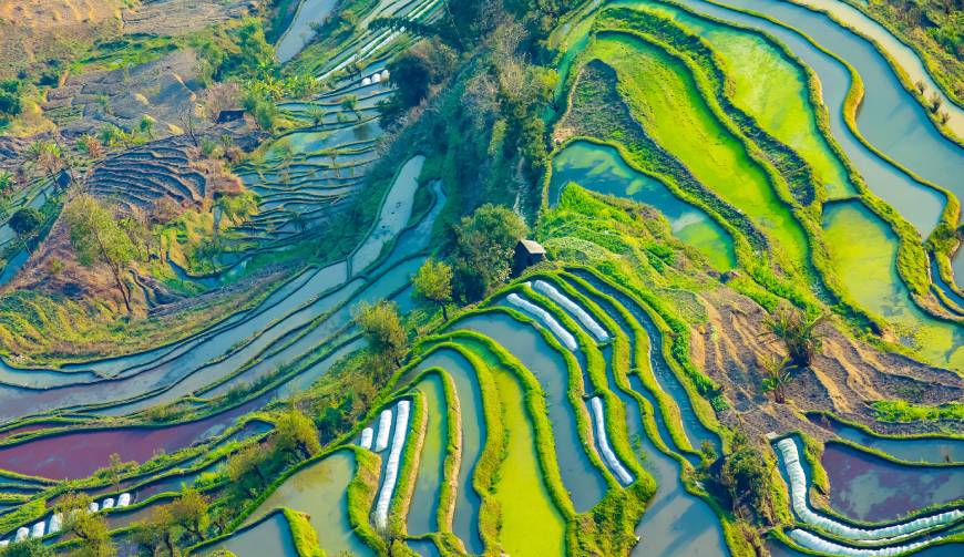宝妈必备神器：虎林市产品视频拍摄轻松育儿好帮手